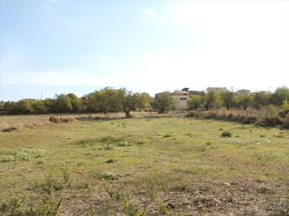Land In Kassandra, Greece