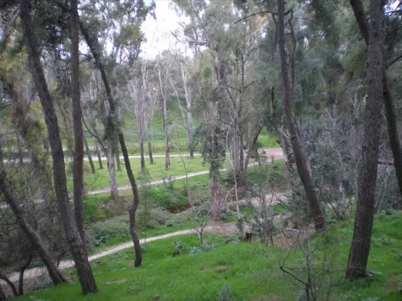 Land In Chalandri, Greece