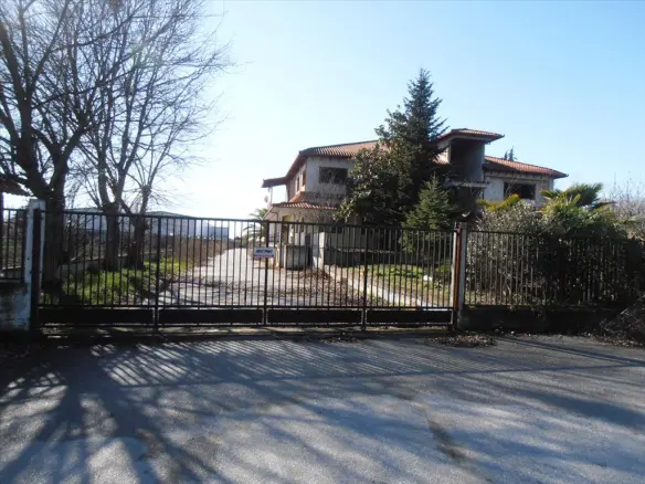 Business In Greece (2.524 M²)