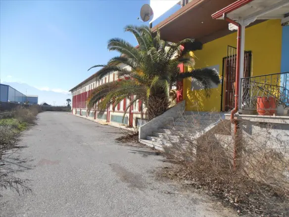 Business In Greece (2.524 M²)