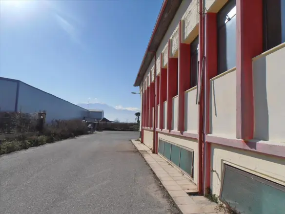 Business In Greece (2.524 M²)