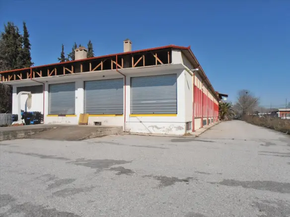 Business In Greece (2.524 M²)