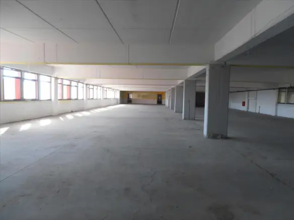 Business In Greece (2.524 M²)