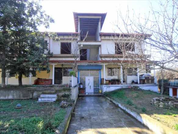 Business In Greece (2.524 M²)