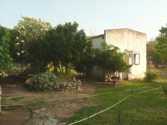 Land In Aristotle, Greece (18.000 M²)