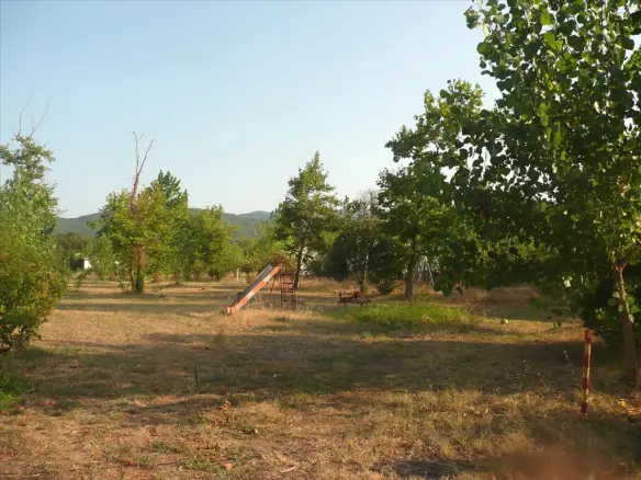 Land In Aristotle, Greece (18.000 M²)