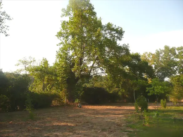 Land In Aristotle, Greece (18.000 M²)