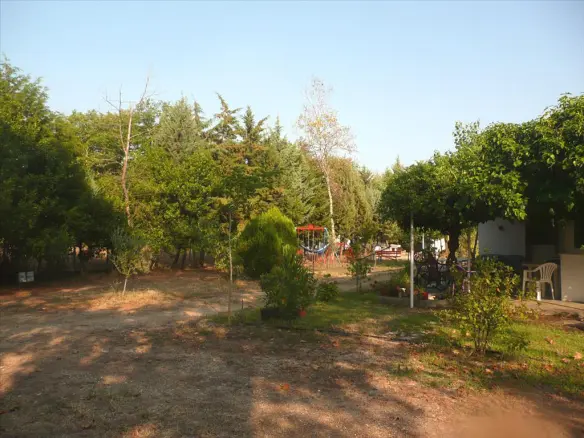 Land In Aristotle, Greece (18.000 M²)