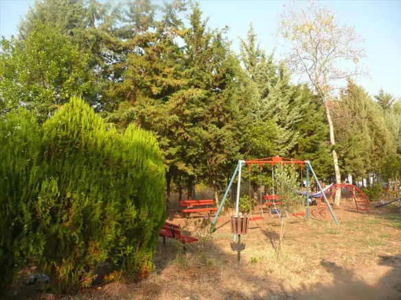 Land In Aristotle, Greece (18.000 M²)