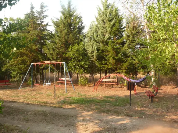Land In Aristotle, Greece (18.000 M²)