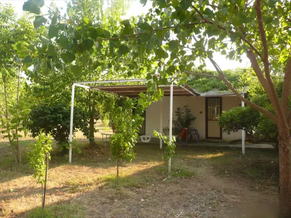 Land In Aristotle, Greece (18.000 M²)