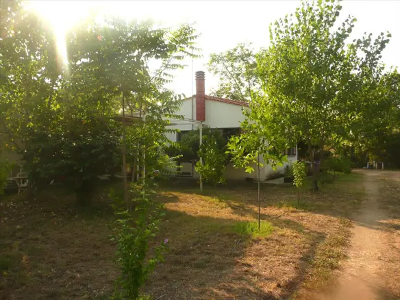 Land In Aristotle, Greece (18.000 M²)
