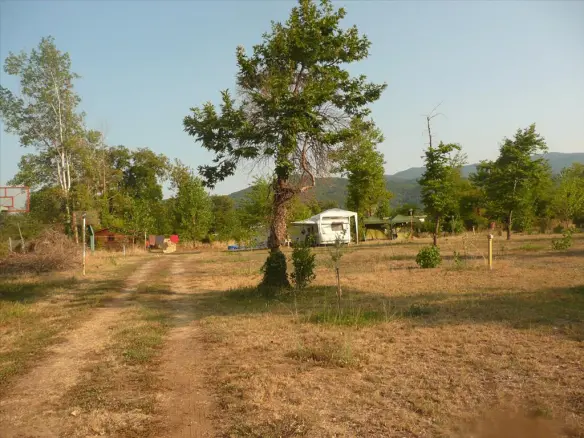 Land In Aristotle, Greece (18.000 M²)