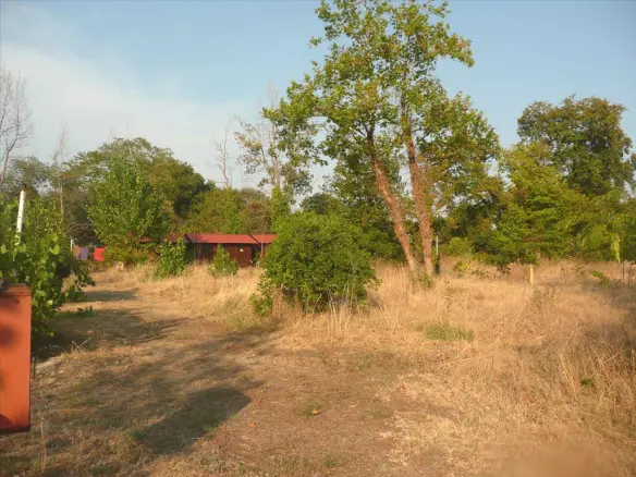 Land In Aristotle, Greece (18.000 M²)
