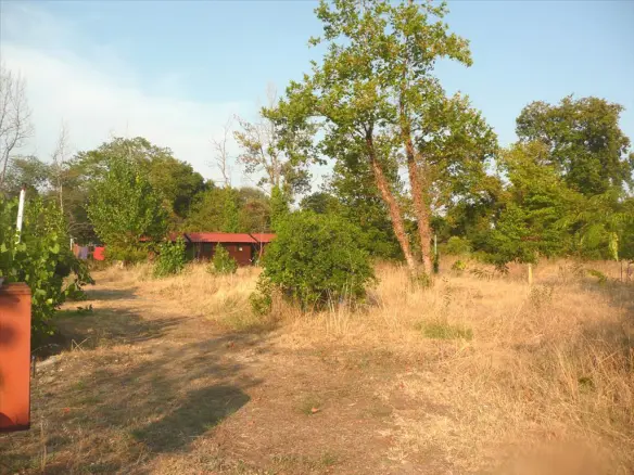Land In Aristotle, Greece (18.000 M²)