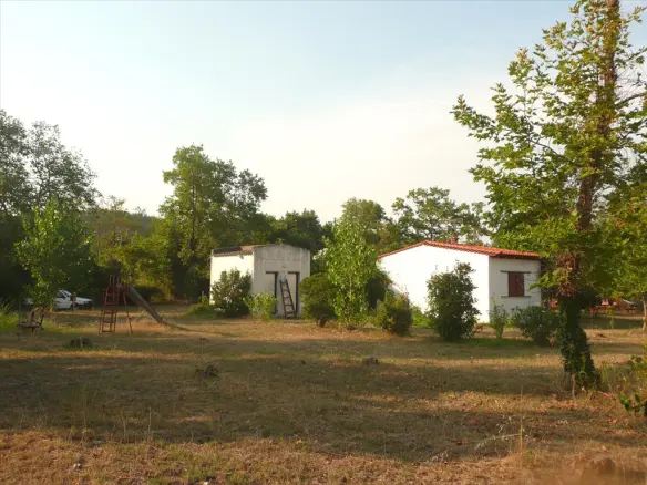 Land In Aristotle, Greece (18.000 M²)