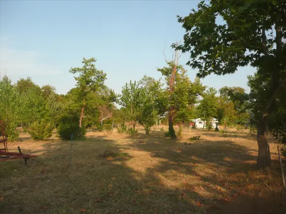 Land In Aristotle, Greece (18.000 M²)