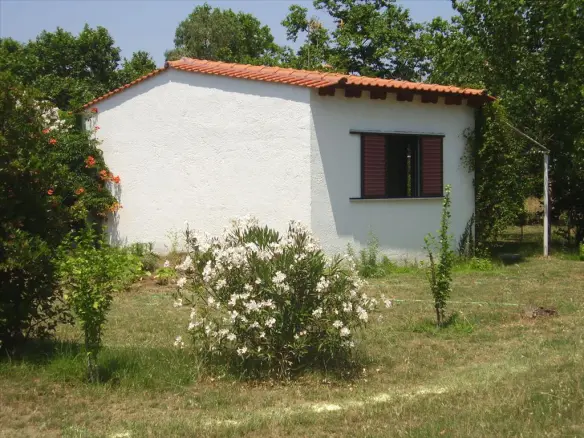 Land In Aristotle, Greece (18.000 M²)