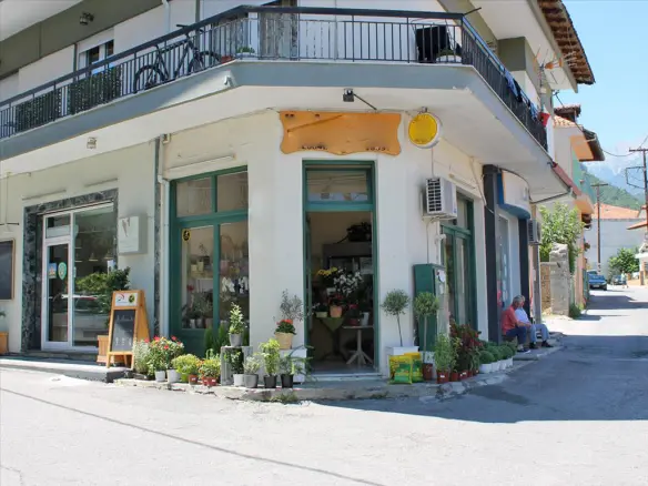 Business In Litochoro, Greece (55 M²)