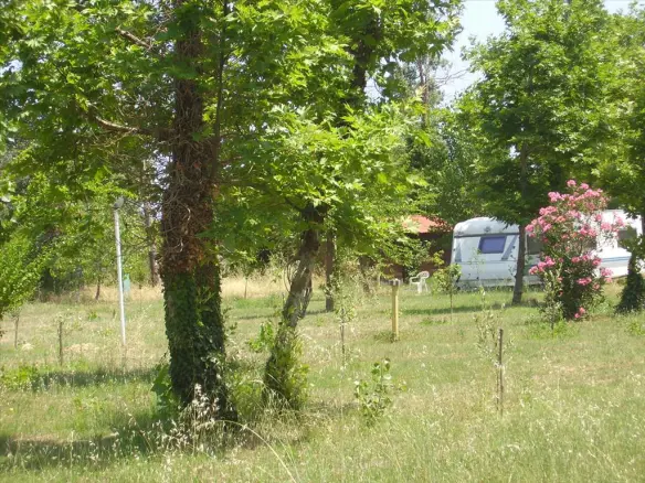 Land In Aristotle, Greece (18.000 M²)