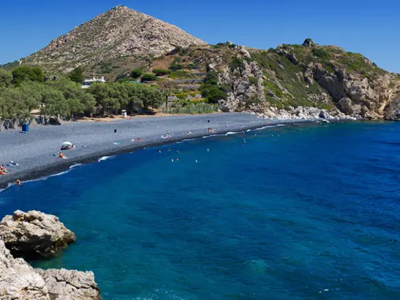 7500 M² Land Plot Available In Island Region