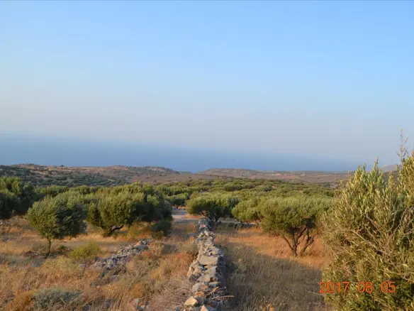 Land Plots Of 11000 M² Available In Crete