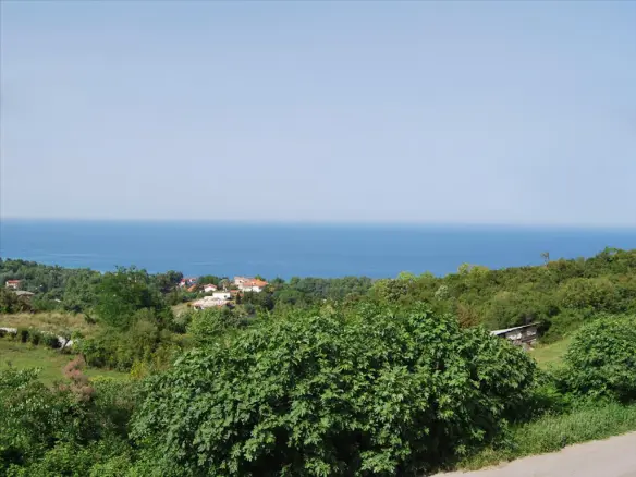 Business In Greece