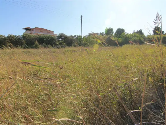 3000 M² Plot Of Land Available In Corfu