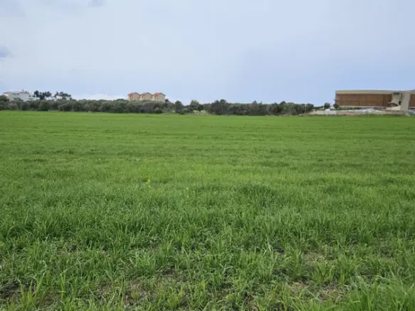 Land In Kassandra, Greece