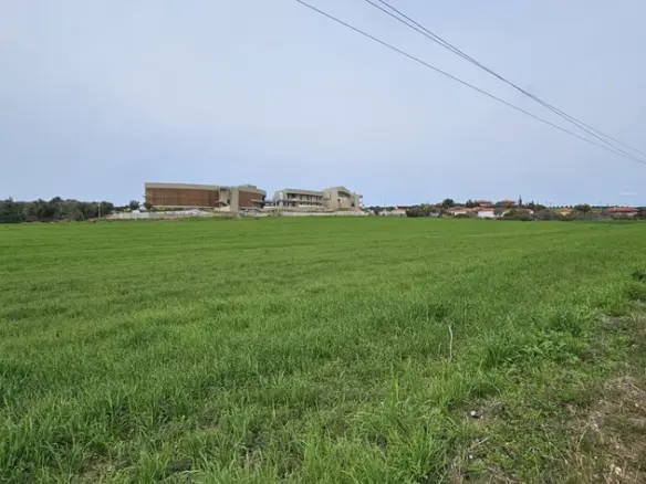Land In Kassandra, Greece