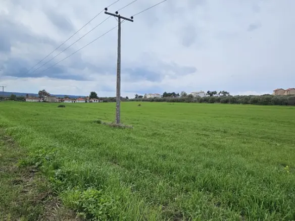 Land In Kassandra, Greece