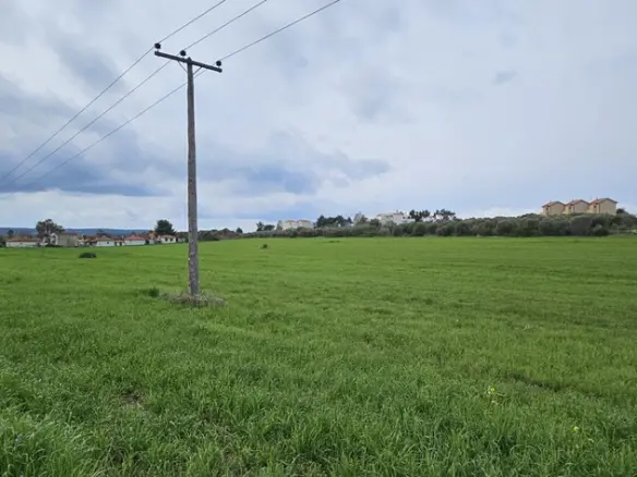 Land In Kassandra, Greece