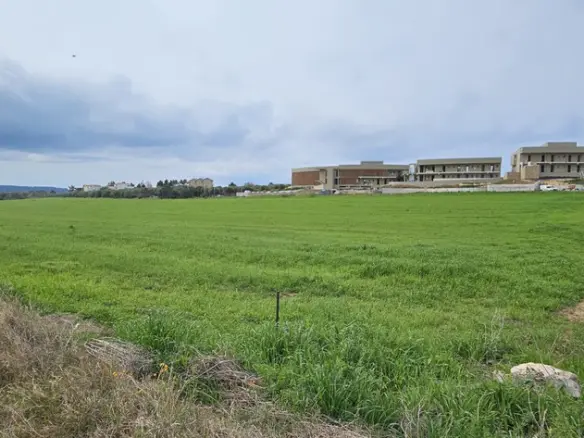 Land In Kassandra, Greece