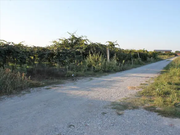 Land In Katerini, Greece