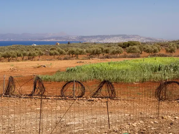 Land In Voukolies, Greece