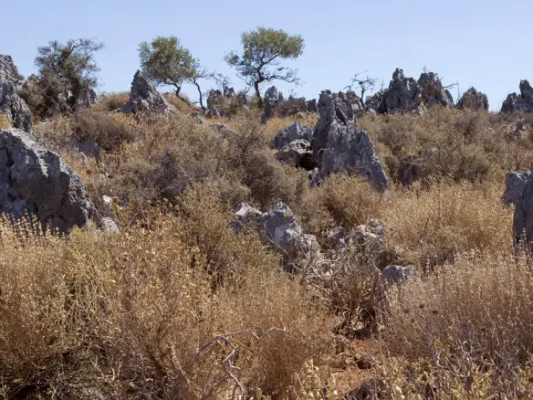Land In Voukolies, Greece