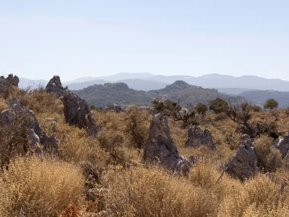 Land In Voukolies, Greece
