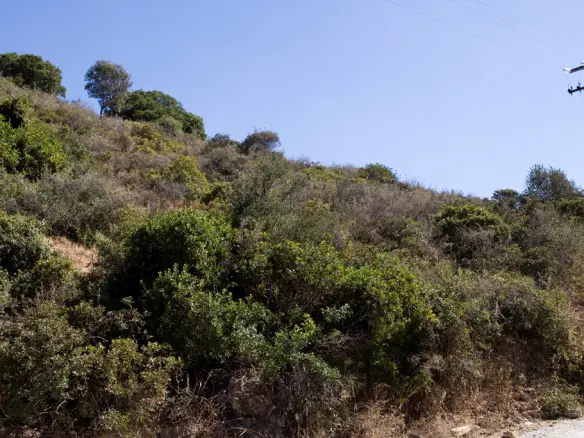 Land In Voukolies, Greece