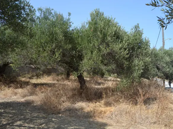 Land In Gouves, Greece (535 M²)