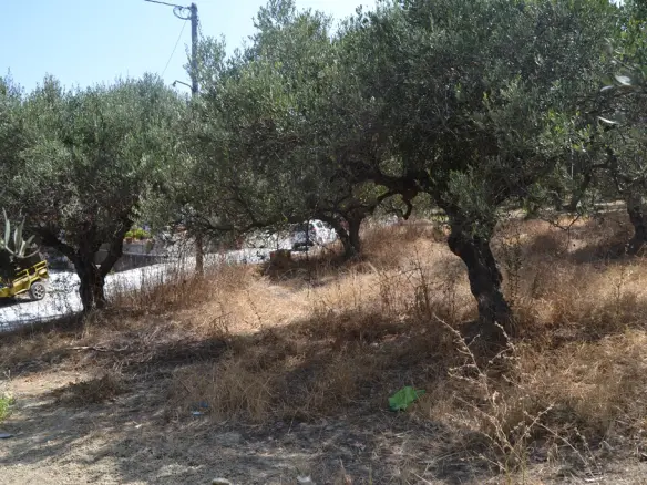 Land In Gouves, Greece (535 M²)