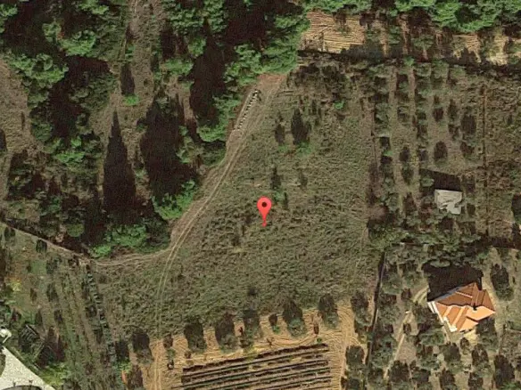 Land In Sithonia, Greece