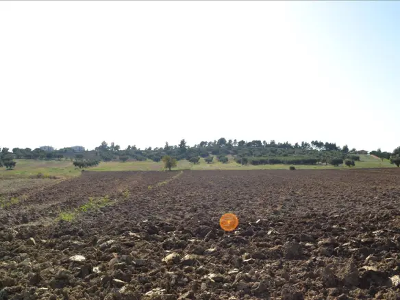 Land In Kassandra, Greece