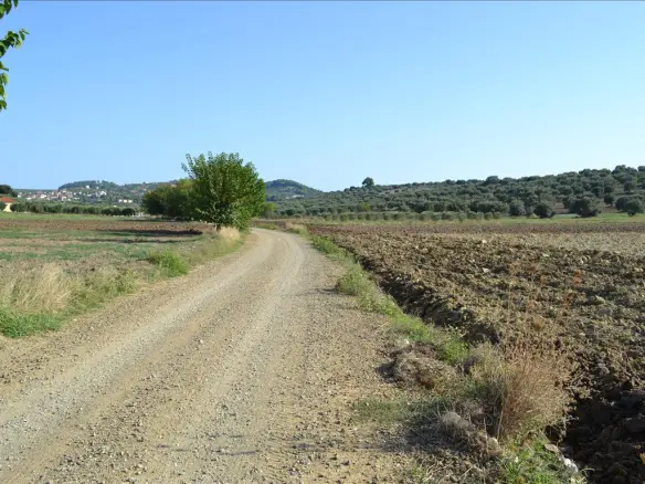Land In Kassandra, Greece