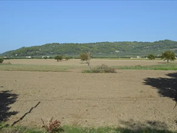 Land In Kassandra, Greece