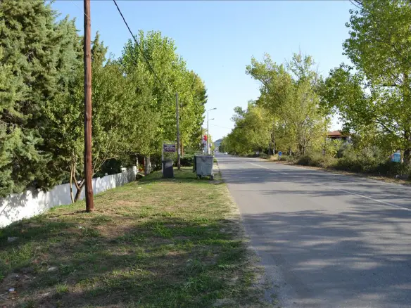 Land In Kassandra, Greece