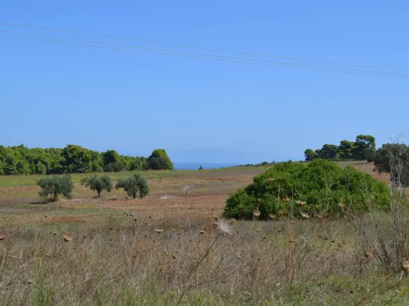 Land In Kassandra, Greece