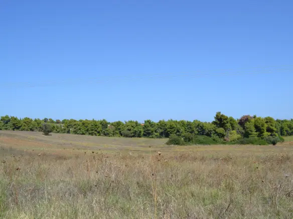 Land In Kassandra, Greece