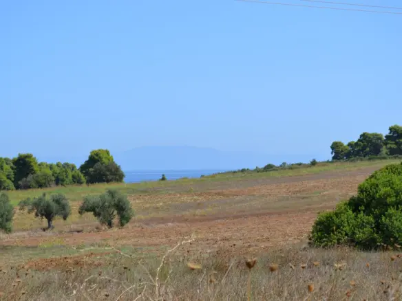 Land In Kassandra, Greece