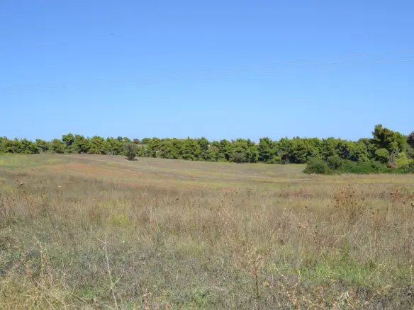 Land In Kassandra, Greece
