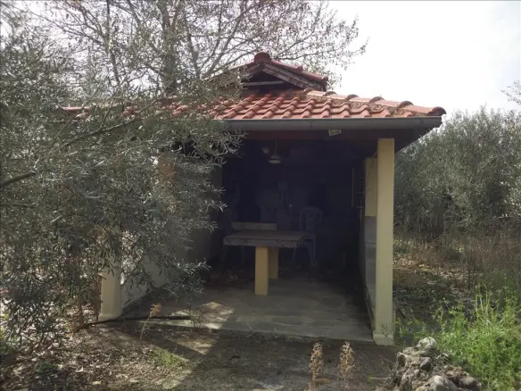 5-bedroom Detached House In Nikiforos, Greece (350 M²)